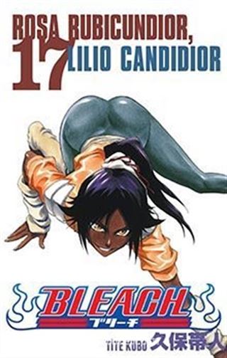 Bleach 17