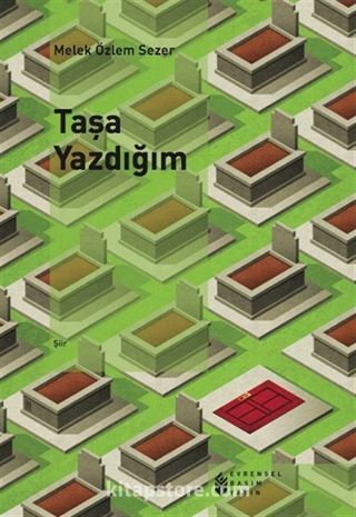 Taşa Yazdığım