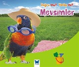 Mevsimler / Doğru mu Yanlış mı?