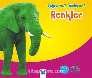 Renkler / Doğru mu Yanlış mı?