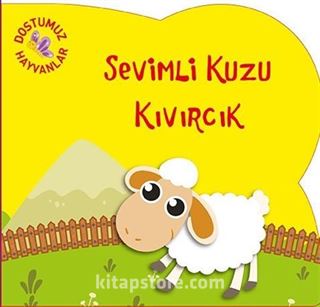 Sevimli Kuzu Kıvırcık / Dostumuz Hayvanlar