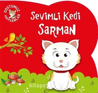 Sevimli Kedi Sarman / Dostumuz Hayvanlar