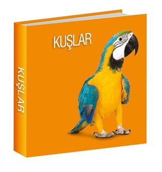 Kuşlar