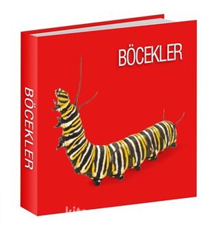 Böcekler