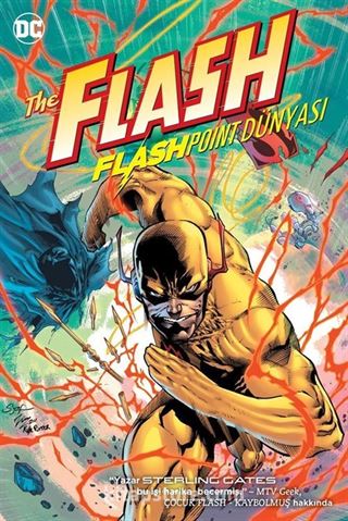 Flash Flashpoint Dünyası