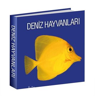 Deniz Hayvanları