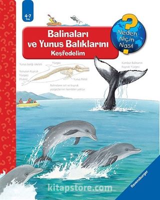 Maksi Balinaları ve Yunus Balıklarını Keşfedelim / Neden, Niçin, Nasıl? Serisi