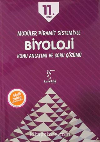 11. Sınıf Biyoloji Konu Anlatımlı / Modüler Piramit Sistemi