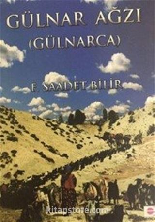 Gülnar Ağzı (Gülnarca)