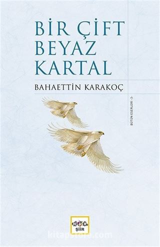 Bir Çift Beyaz Kartal (Ciltli)