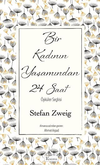 Bir Kadının Yaşamından 24 Saat (Ciltli Özel Bez Baskı)