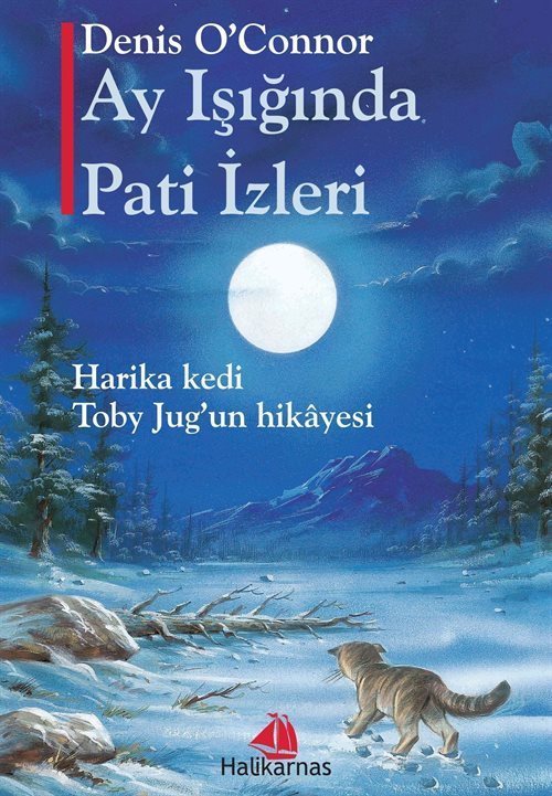 Ay Işığında Pati İzleri