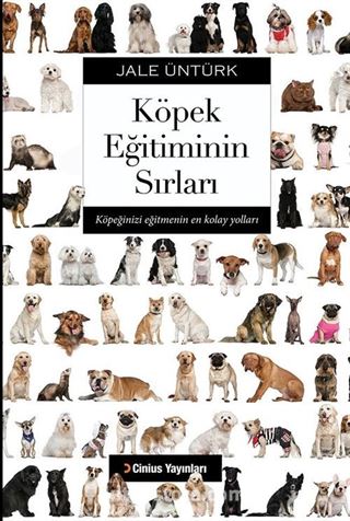 Köpek Eğitiminin Sırları