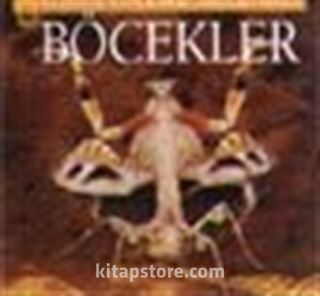 Böcekler