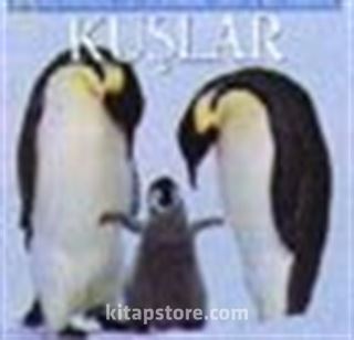 Kuşlar