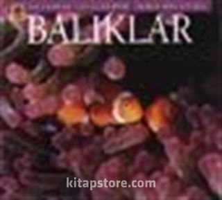 Balıklar