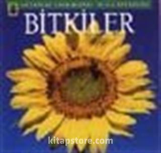 Bitkiler