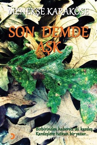 Son Demde Aşk