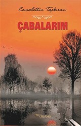 Çabalarım