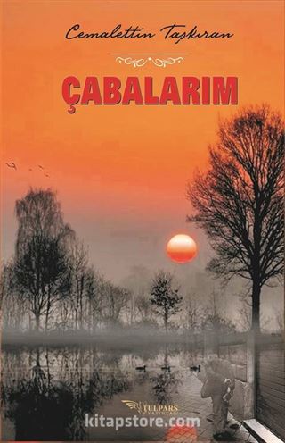 Çabalarım