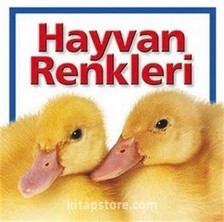 Hayvan Renkleri