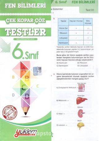 6. Sınıf Fen Bilimleri Test Çek-Kopar-Çöz