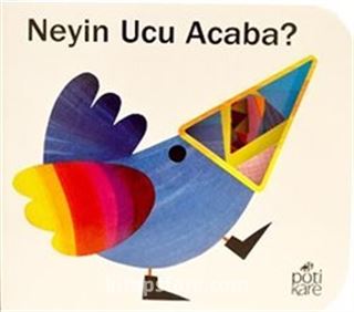 Neyin Ucu Acaba? / Delikli Kitaplar Serisi