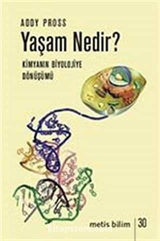 Yaşam Nedir?