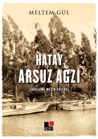 Hatay Arsuz Ağzı (İnceleme-Metin-Sözlük)