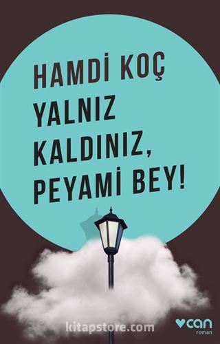 Yalnız Kaldınız, Peyami Bey!