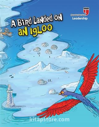 A Bird Landed on an Igloo - Leadership