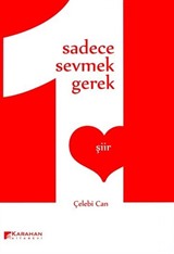 Sadece Sevmek Gerek