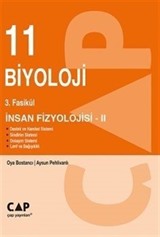 11. Sınıf 3. Fasikül İnsan Fizyolojisi 2