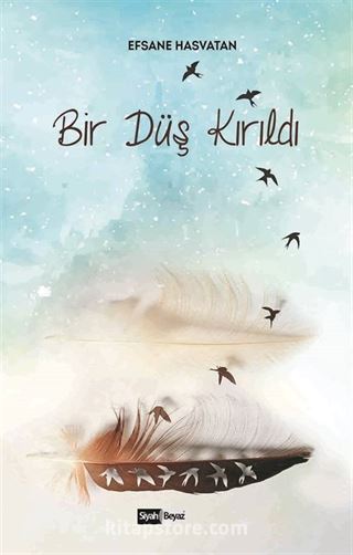 Bir Düş Kırıldı