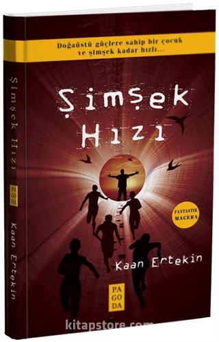 Şimşek Hızı