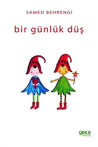 Bir Günlük Düş