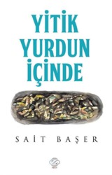 Yitik Yurdun İçinde