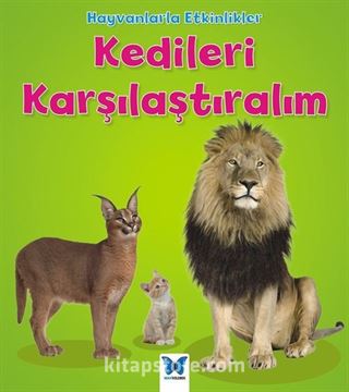 Kedileri Karşılaştıralım / Hayvanlarla Etkinlikler