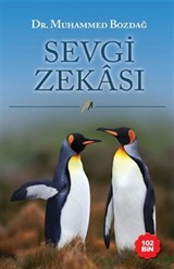 Sevgi Zekası