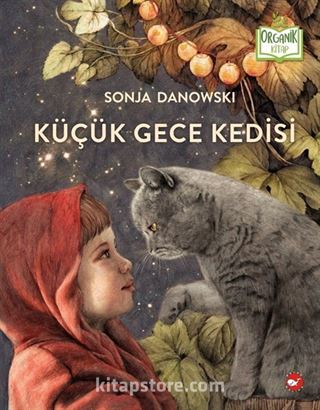 Küçük Gece Kedisi