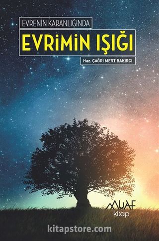 Evrenin Karanlığında Evrimin Işığı