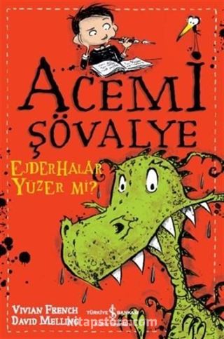 Acemi Şövalye