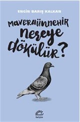 Maveraünnehir Nereye Dökülür?