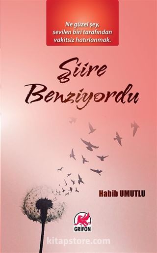 Şiire Benziyordu