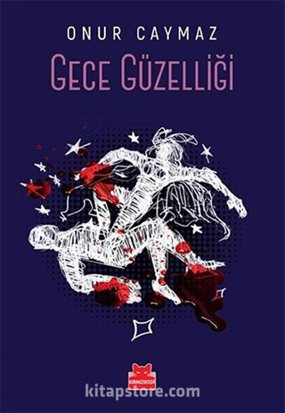 Gece Güzelliği