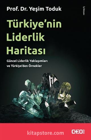 Türkiye'nin Liderlik Haritası