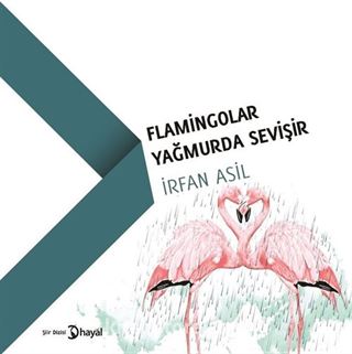 Flamingolar Yağmurda Sevişir