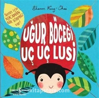 Uğur Böceği Uç Uç Lusi