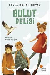 Bulut Delisi