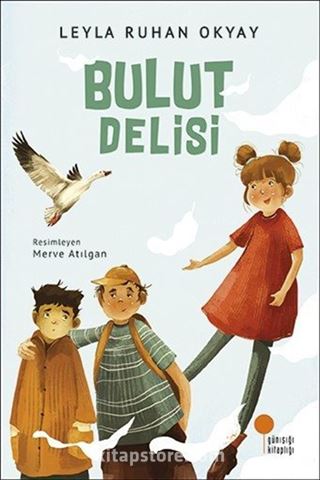 Bulut Delisi